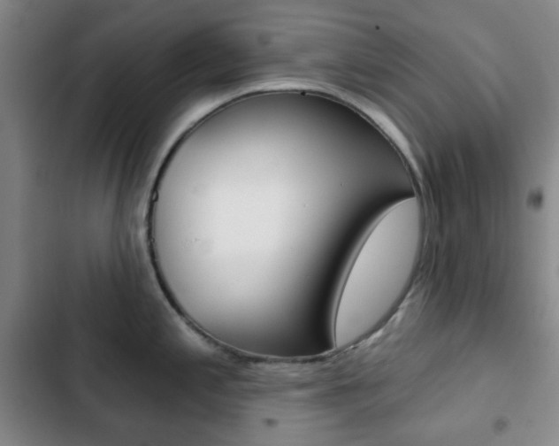X0000103261197200808291035