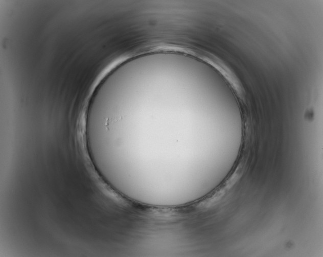 X0000103261198200808291035
