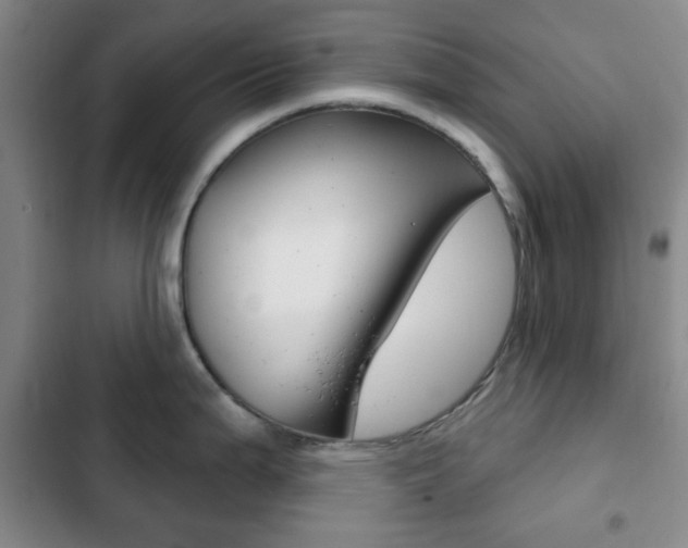 X0000103261199200808291035