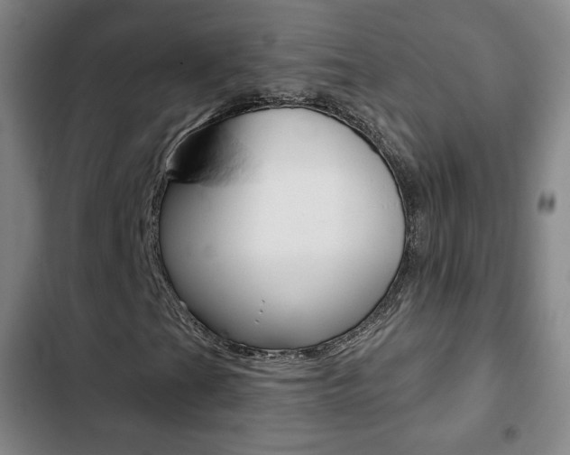 X0000103261201200808291035