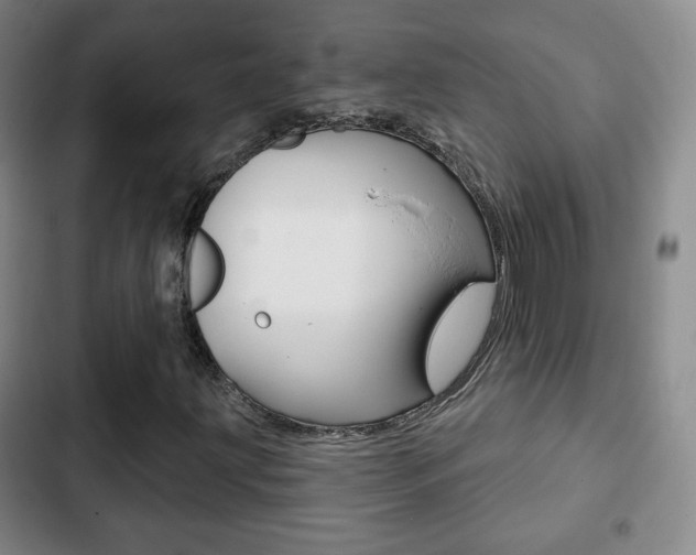X0000103261203200808291035