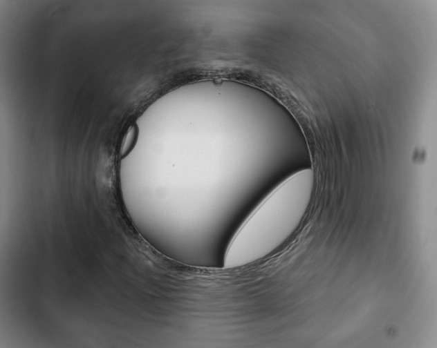 X0000103261204200808291035