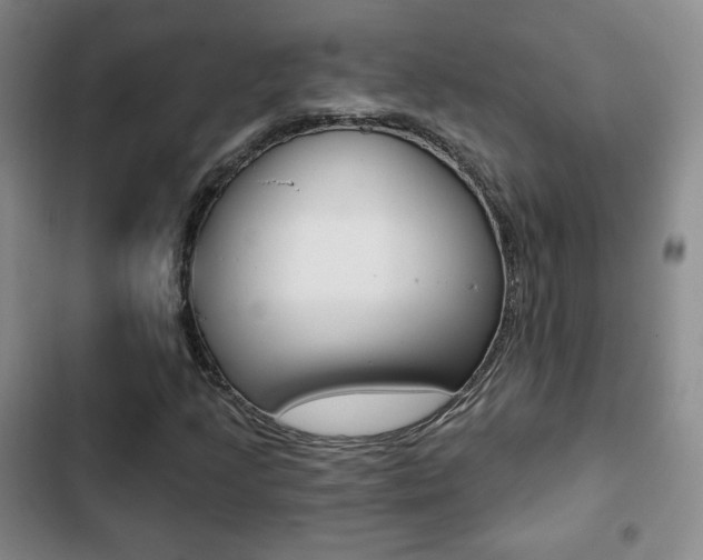 X0000103261205200808291035