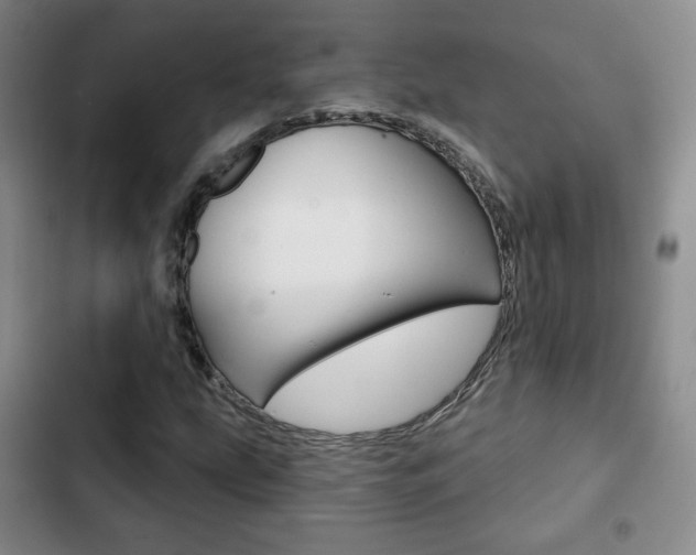 X0000103261207200808291035