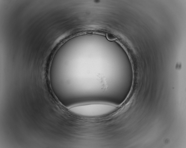X0000103261210200808291035