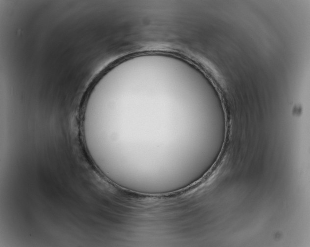 X0000103261212200808291035