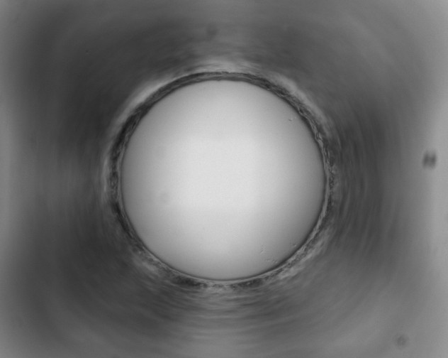 X0000103261215200808291035