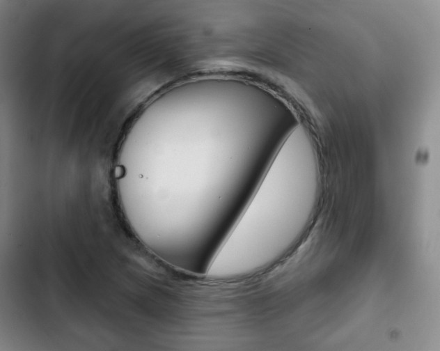 X0000103261217200808291035
