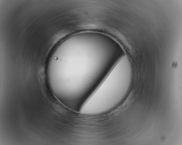 X0000103261218200808291035