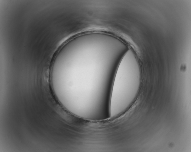 X0000103261220200808291035