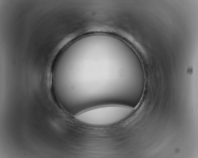 X0000103261221200808291035