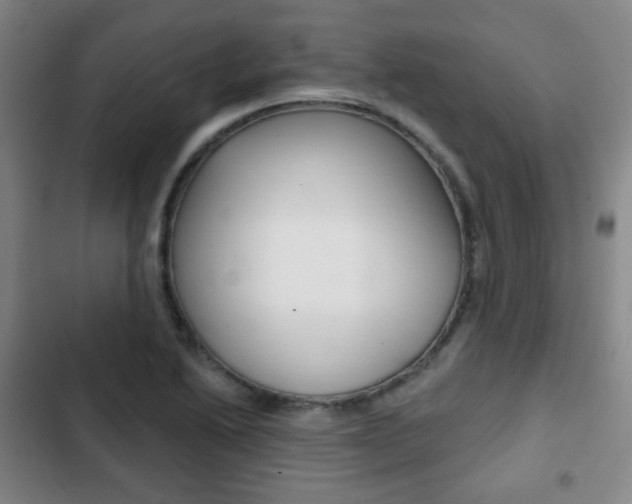 X0000103261222200808291035