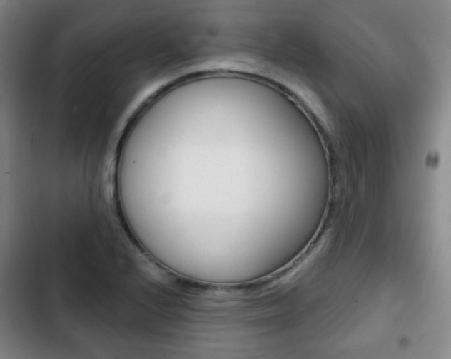 X0000103261224200808291035