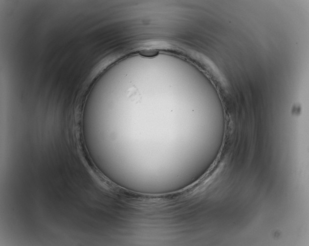 X0000103261225200808291035