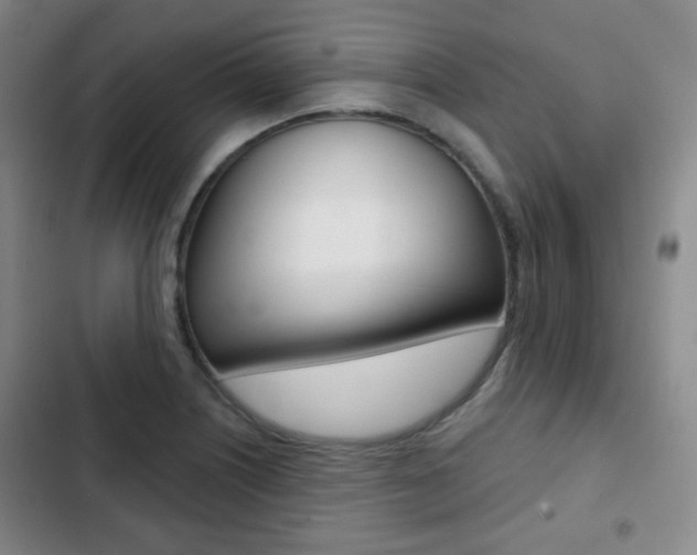 X0000103261226200808291035