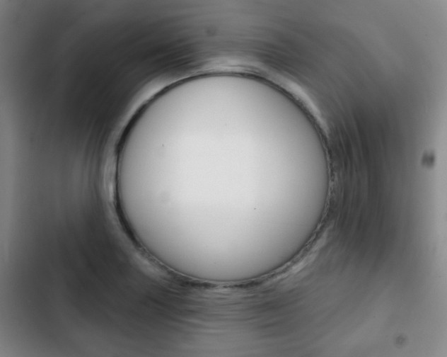 X0000103261227200808291035