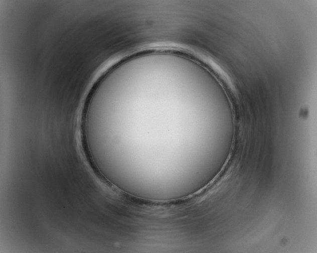 X0000103261229200808291035