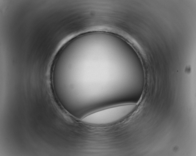 X0000103261230200808291035