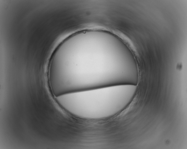 X0000103261231200808291035