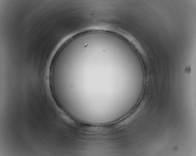 X0000103261232200808291035