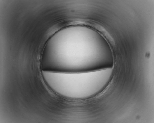 X0000103261233200808291035