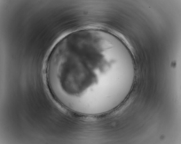 X0000103261235200808291035