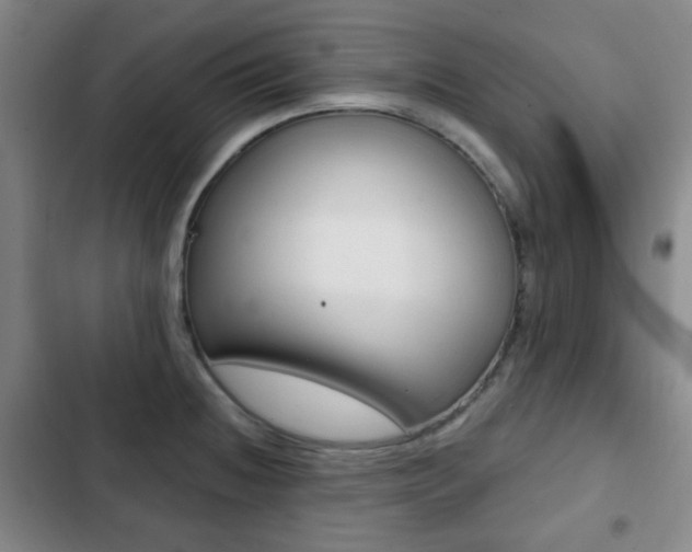 X0000103261236200808291035
