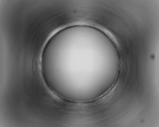 X0000103261238200808291035