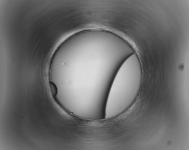 X0000103261239200808291035