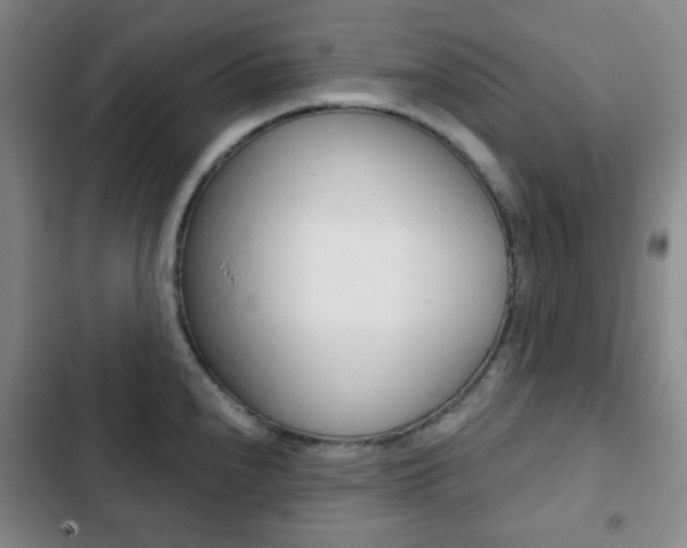 X0000103261240200808291035