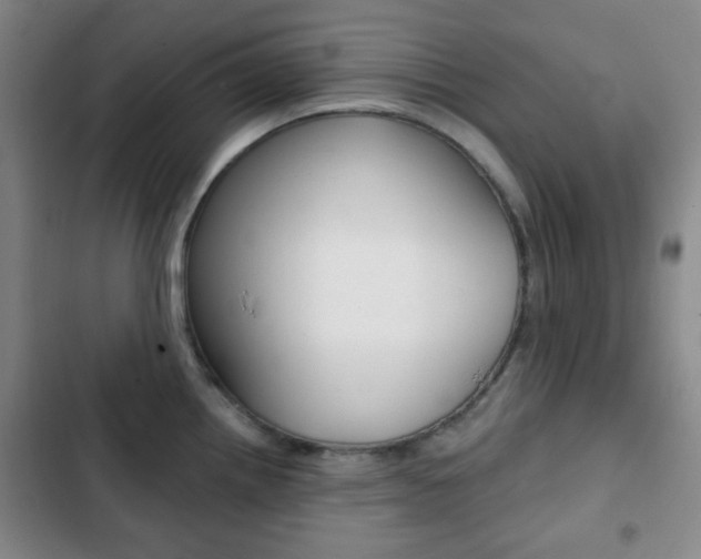 X0000103261242200808291035