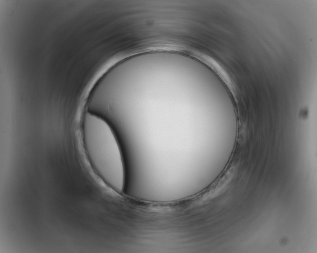 X0000103261243200808291035