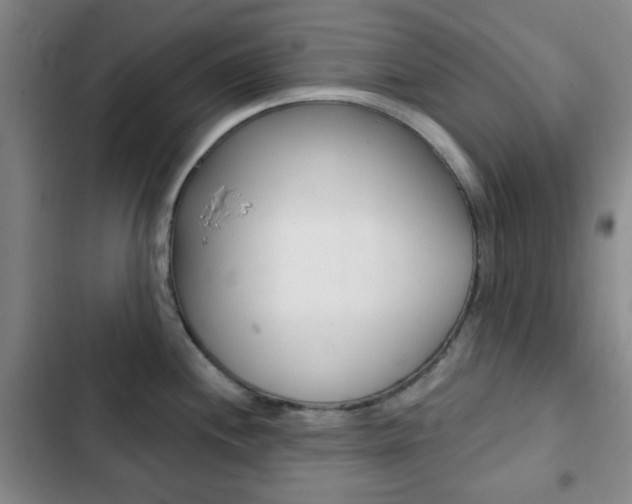X0000103261244200808291035
