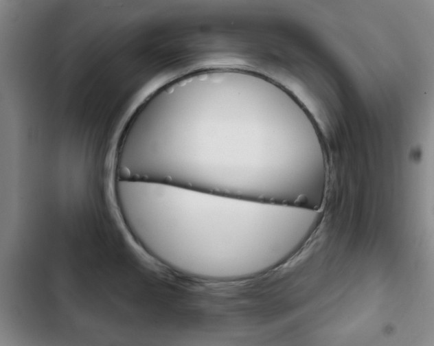 X0000103261245200808291035