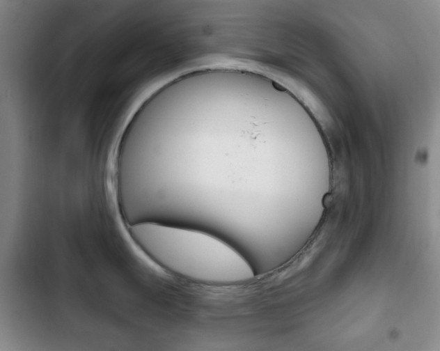 X0000103261247200808291035
