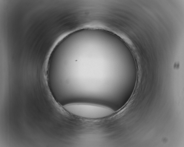 X0000103261248200808291035