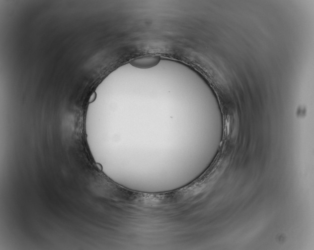 X0000103261251200808291035