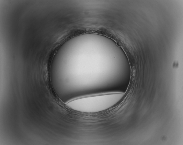 X0000103261252200808291035