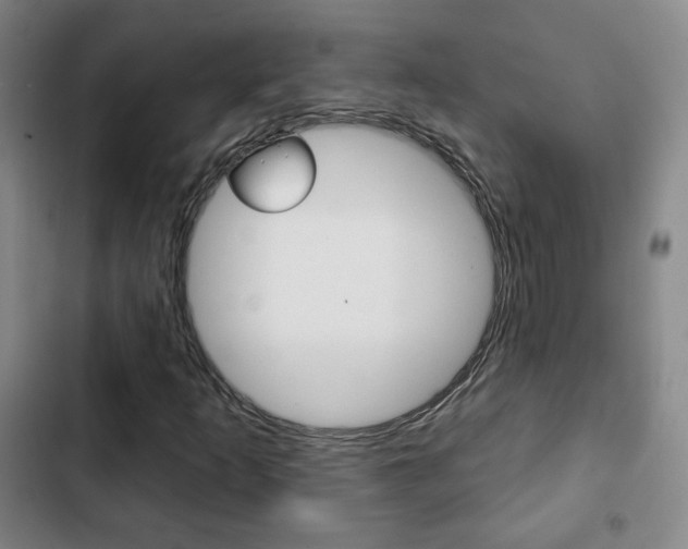 X0000103261253200808291034