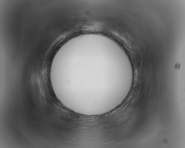 X0000103261254200808291034