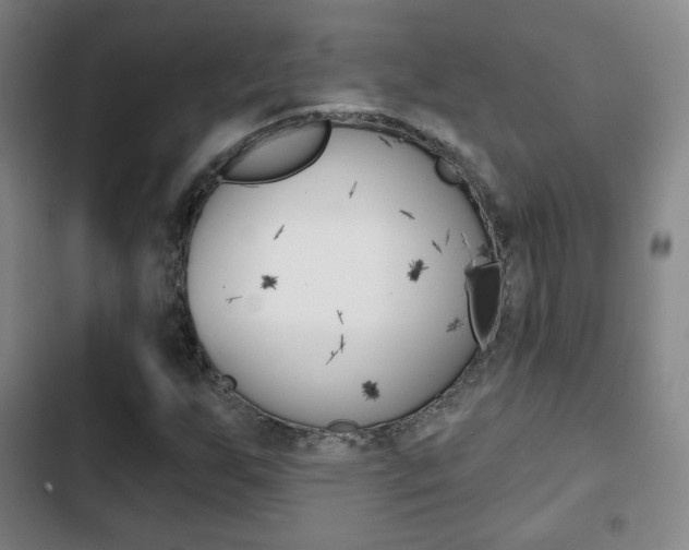 X0000103261255200808291034