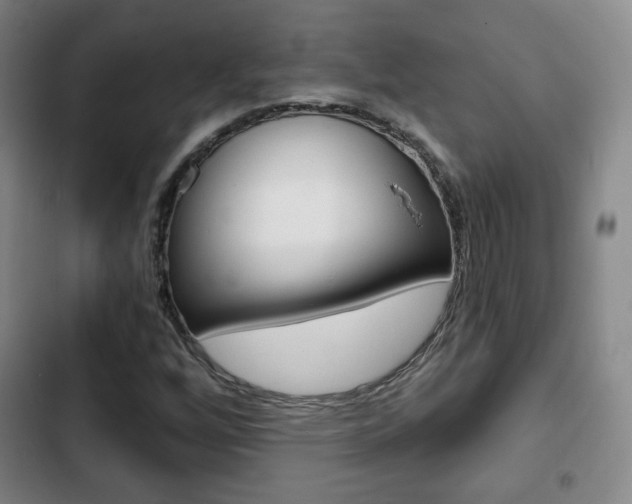 X0000103261256200808291034