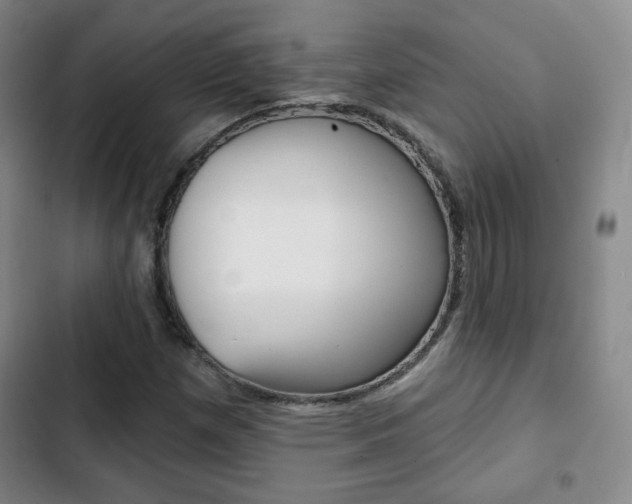 X0000103261257200808291034