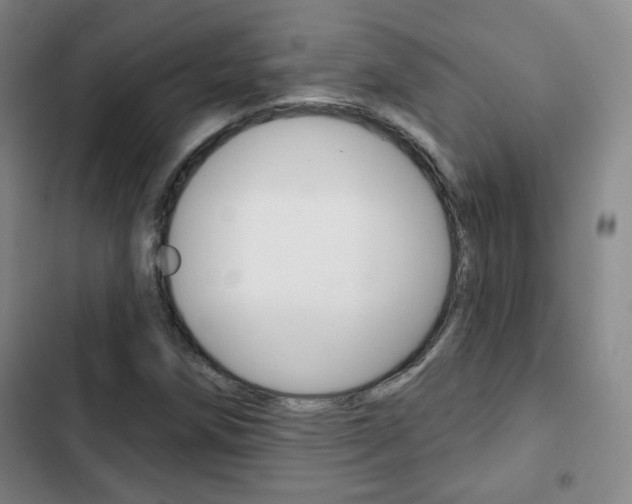 X0000103261258200808291034