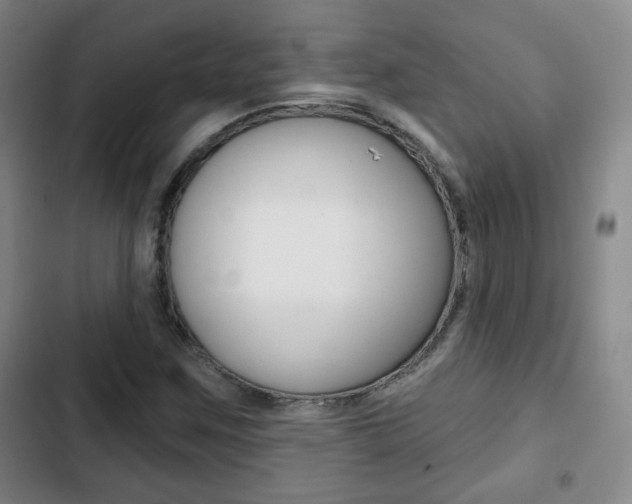 X0000103261259200808291034