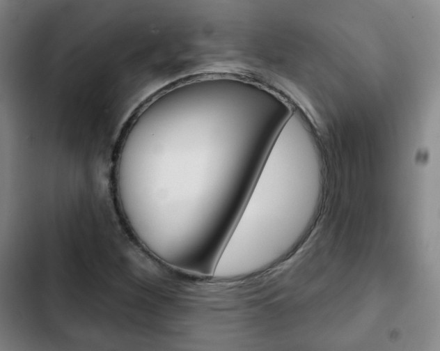 X0000103261260200808291034