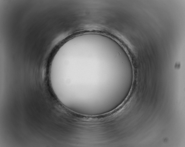 X0000103261261200808291034