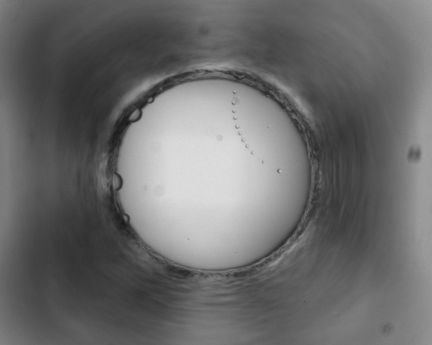 X0000103261262200808291034