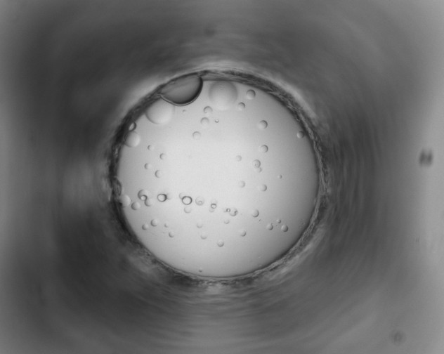 X0000103261263200808291034