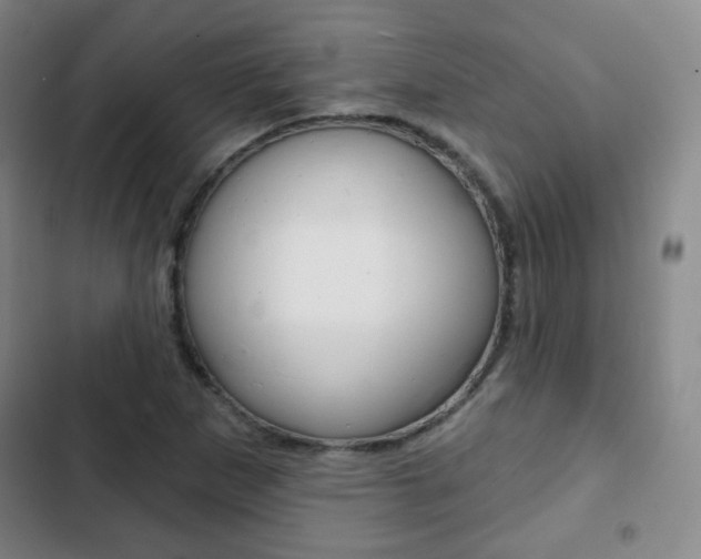 X0000103261265200808291034
